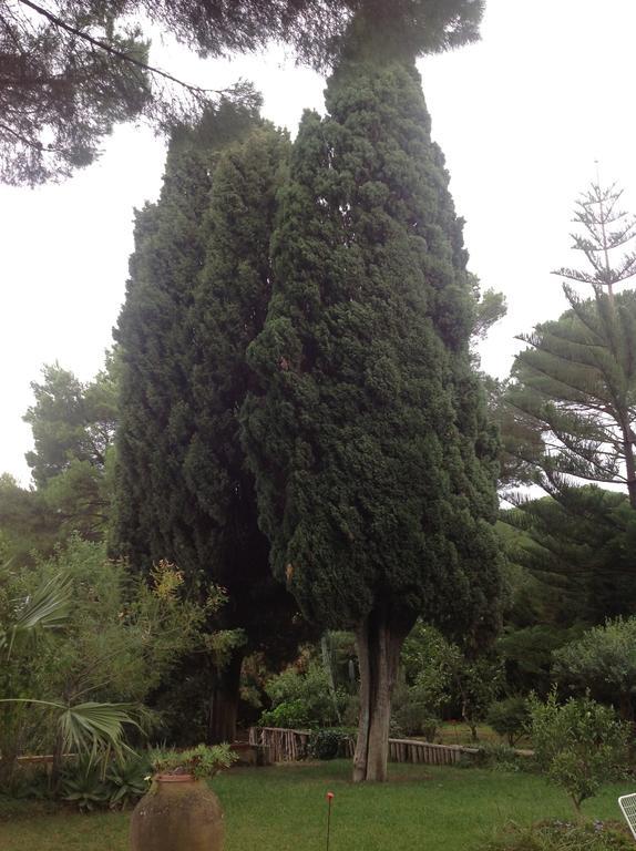 Ai Cipressi Salemi Exterior foto